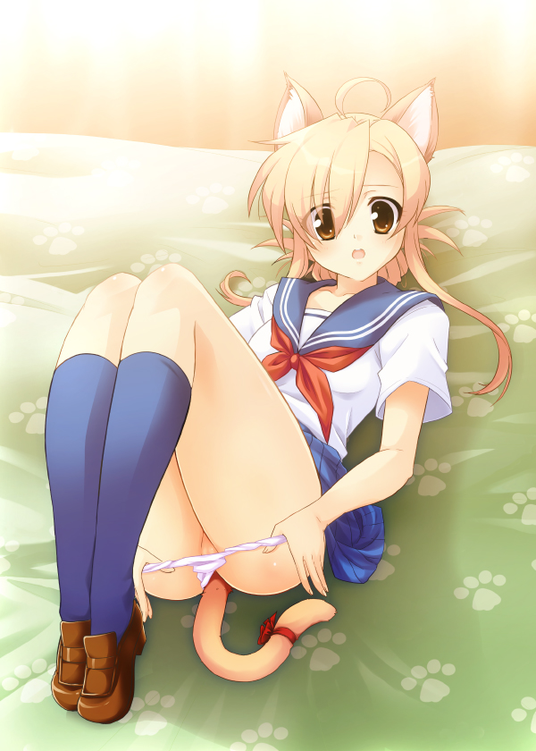 1girls animal_ears ass bed blonde_hair blue_socks blush breasts brown_loafers cat_ears cat_tail eitarou_(motogp) female female_only footwear knee_socks kneehighs kneesocks legs loafers lost_clothes mizuno_kaede nyan_koi nyan_koi! panties panty_pull pointy_chin pussy school_uniform shoes skirt small_breasts socks solo tail underwear wardrobe_error