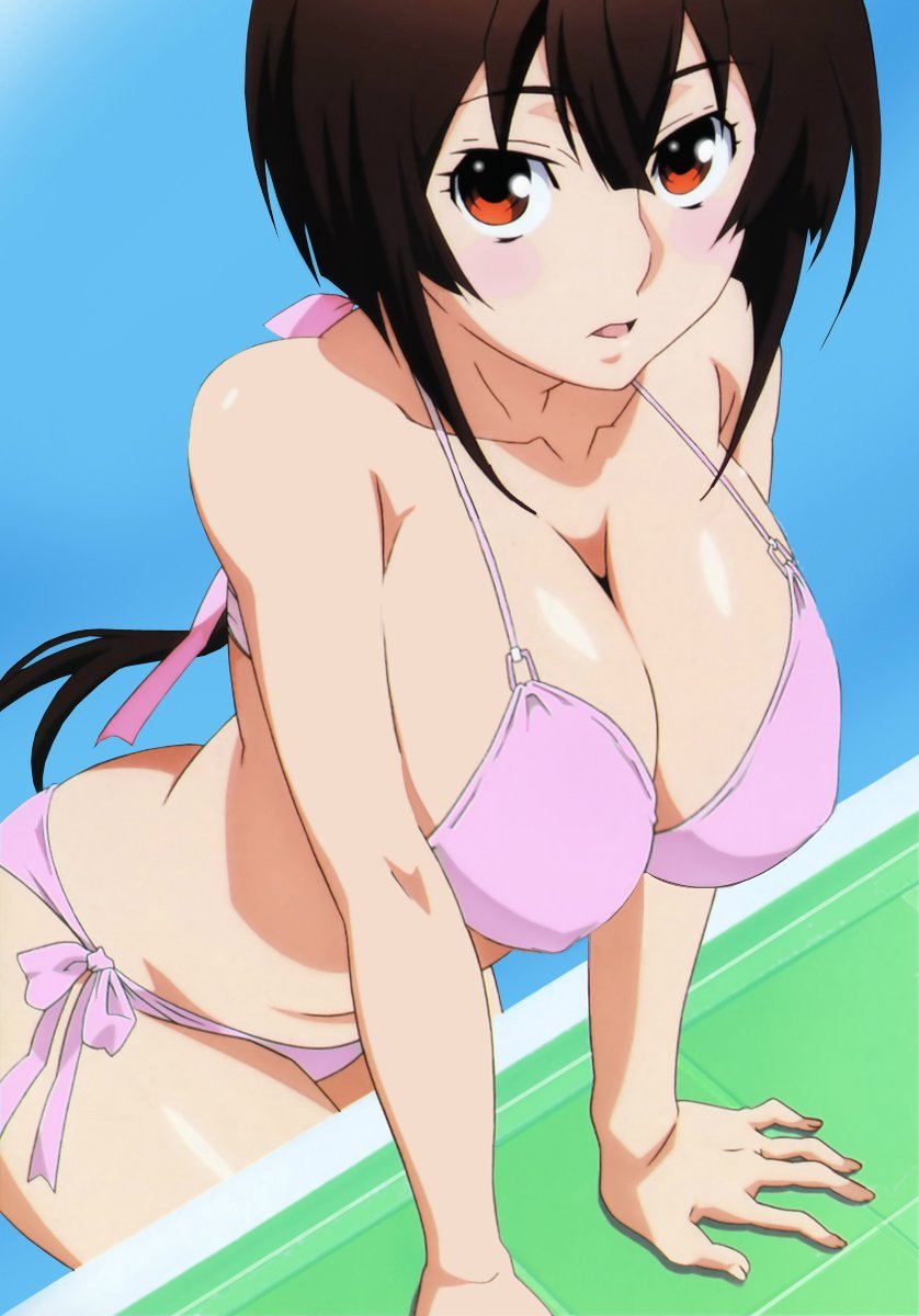 big_breasts bikini blush blush_lines blushing_at_viewer brown_eyes brown_hair female huge_breasts large_breasts long_hair musubi pool poolside sekirei swimsuit water