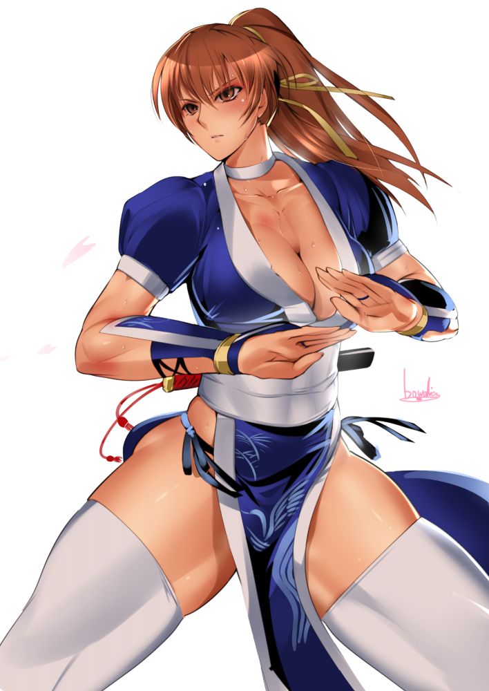 1girls athletic_female auburn_hair bowalia breasts brown_eyes dead_or_alive fit_female kasumi_(doa) kunoichi silf sweat tecmo