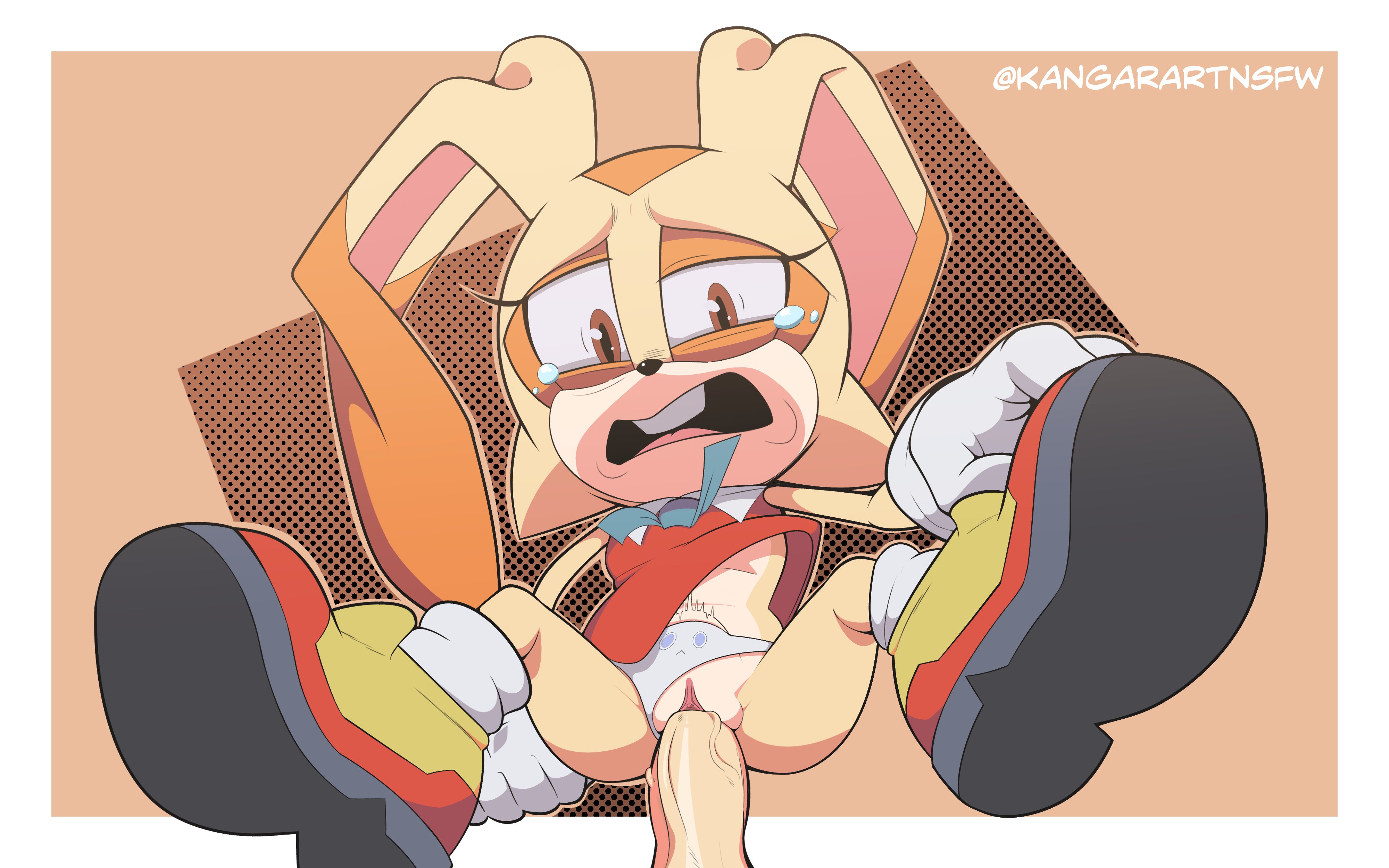 1boy, 1girls, 2d, 2d (artwork), 2d artwork, anon, anthro, cream the rabbit, cub, female, kangarart, lagomorph, male, male/female, mobian (species), penis, pussy, rabbit, sega, sonic (series), sonic the hedgehog (series), tight pussy, vaginal penetration, young