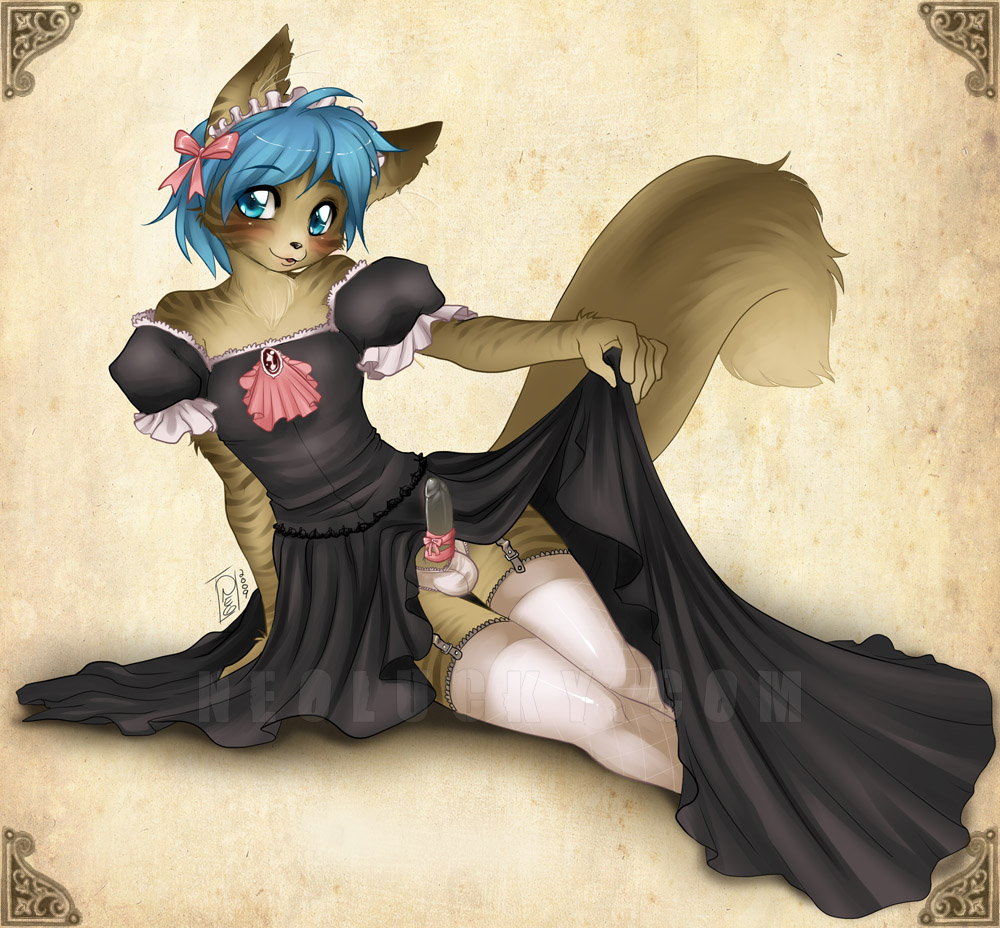 1boy 2009 anthro black_dress black_penis blue_eyes blue_hair blush crossdressing cute dress feline fur furry hair maid maid_uniform maine_coon male male_only neolucky panties penis ribbons solo stockings thigh_highs underwear vandell