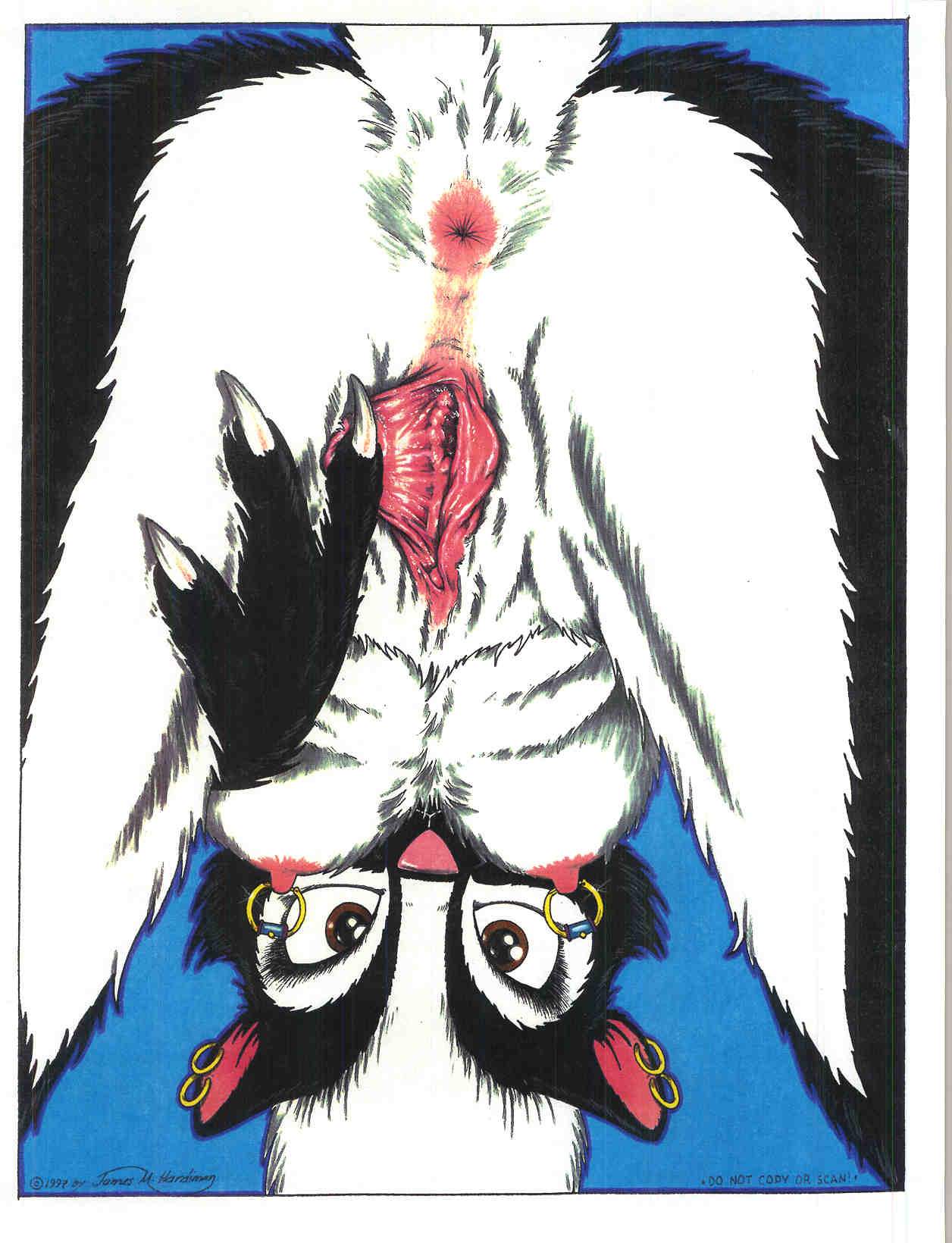 1990s 1997 20th_century anus ass breasts clitoris close-up ear_piercing female james_m_hardiman labia nipple_piercing nipple_ring nipples nude piercing pussy skunk solo spread_legs spread_pussy spreading upside-down