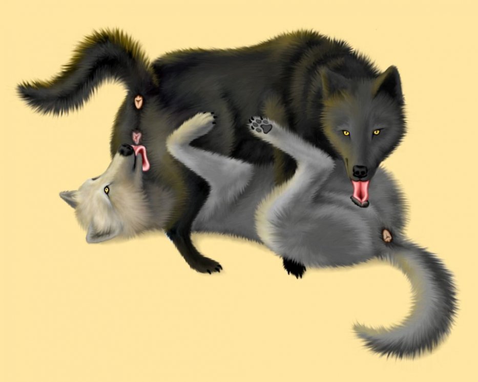 anatomically_correct animal_genitalia animal_pussy canid canine canine_pussy cunnilingus cunnilingus_from_canine ebon_lupus female female_canine feral_only furry licking no_humans pussy tongue uncensored vagina wolf