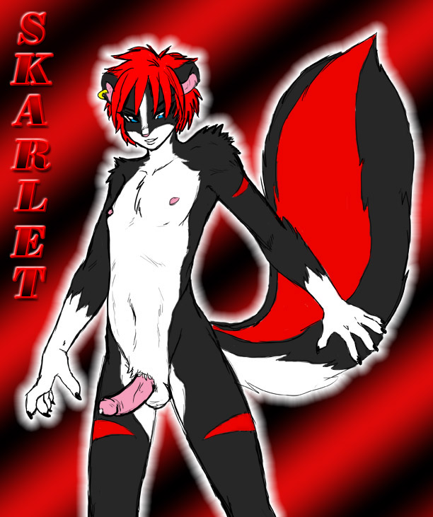 arm_markings balls black black_and_white claws erection furry girly hair leg_markings male markings mirandaleigh monochrome oc original_character penis precum red red_hair short_hair sketch skunk white_fur