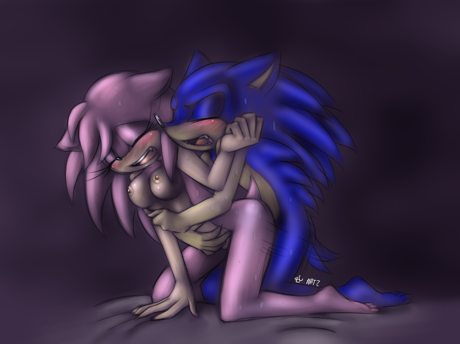 amy_rose blue blue-chika bluechika blush breasts closed_eyes female hair hedgehog male nipples nude open_mouth penetration pink pink_hair sega sex sonic_(series) sonic_the_hedgehog straight