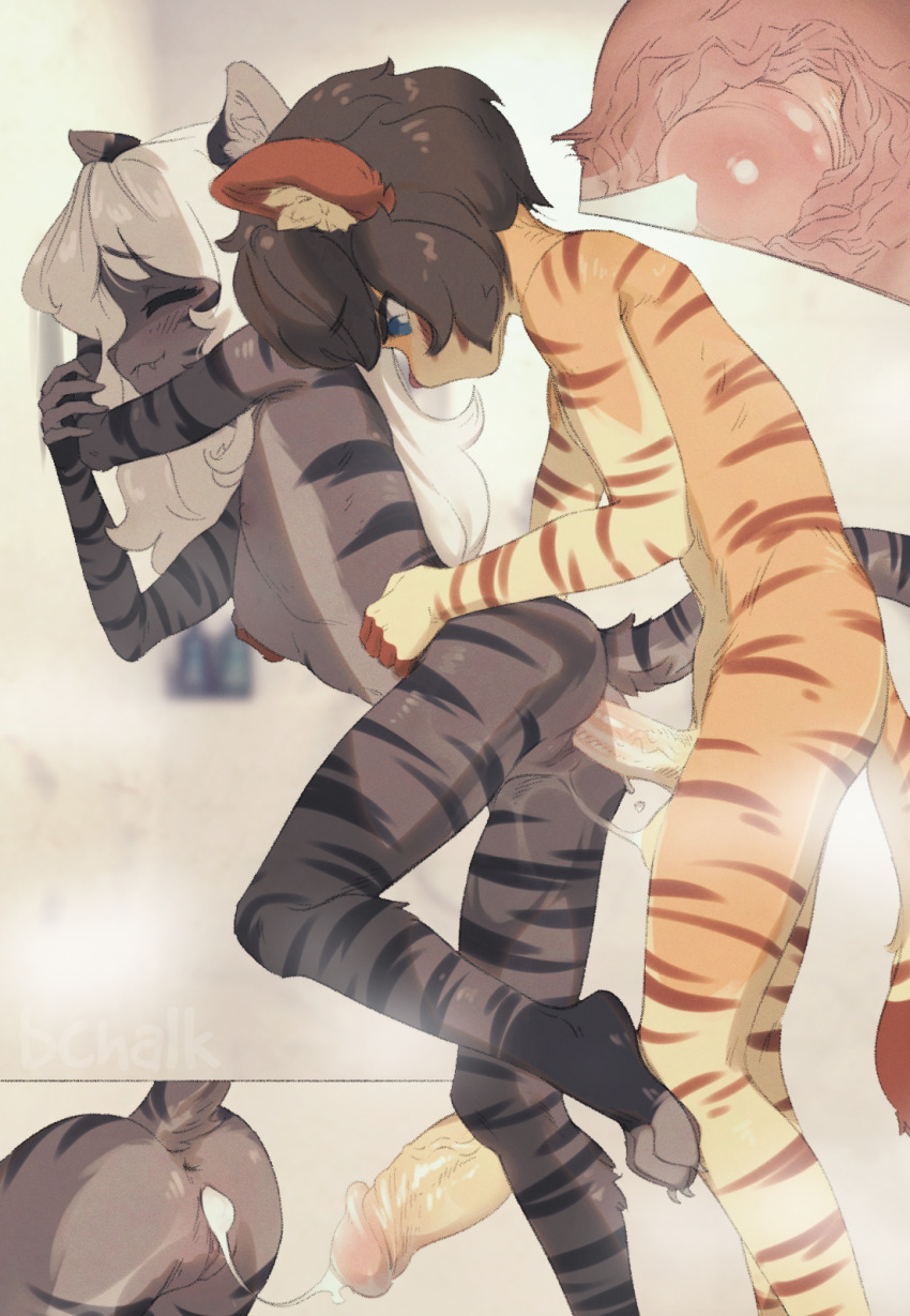1boy, 1girls, amalia (claralaine), animal ears, animal humanoid, anthro, anus, ass, balls, blue eyes, breasts, butterchalk, cat humanoid, claws, cum, cum in pussy, cum inside, cumshot, duo, ejaculation, feline humanoid, female, fur, furry, grey fur, happy sex, inside view, internal view, male, nipples, nude, nude female, nude male, orange fur, original, penetration, penis, petite, pleasure face, pussy, sex, small breasts, smile, standing, straight, striped, tail, thin waist, vaginal penetration, white hair, young