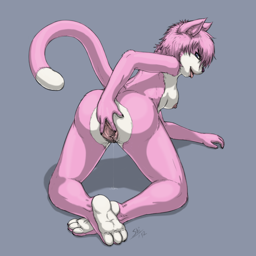 aeris_(vg_cats) anthro blue_eyes breasts clitoris feline female fur furry hindpaw looking_at_viewer nipples nude paws pink presenting pussy solo spreading tongue vg_cats video_games webcomic wet yellowpower