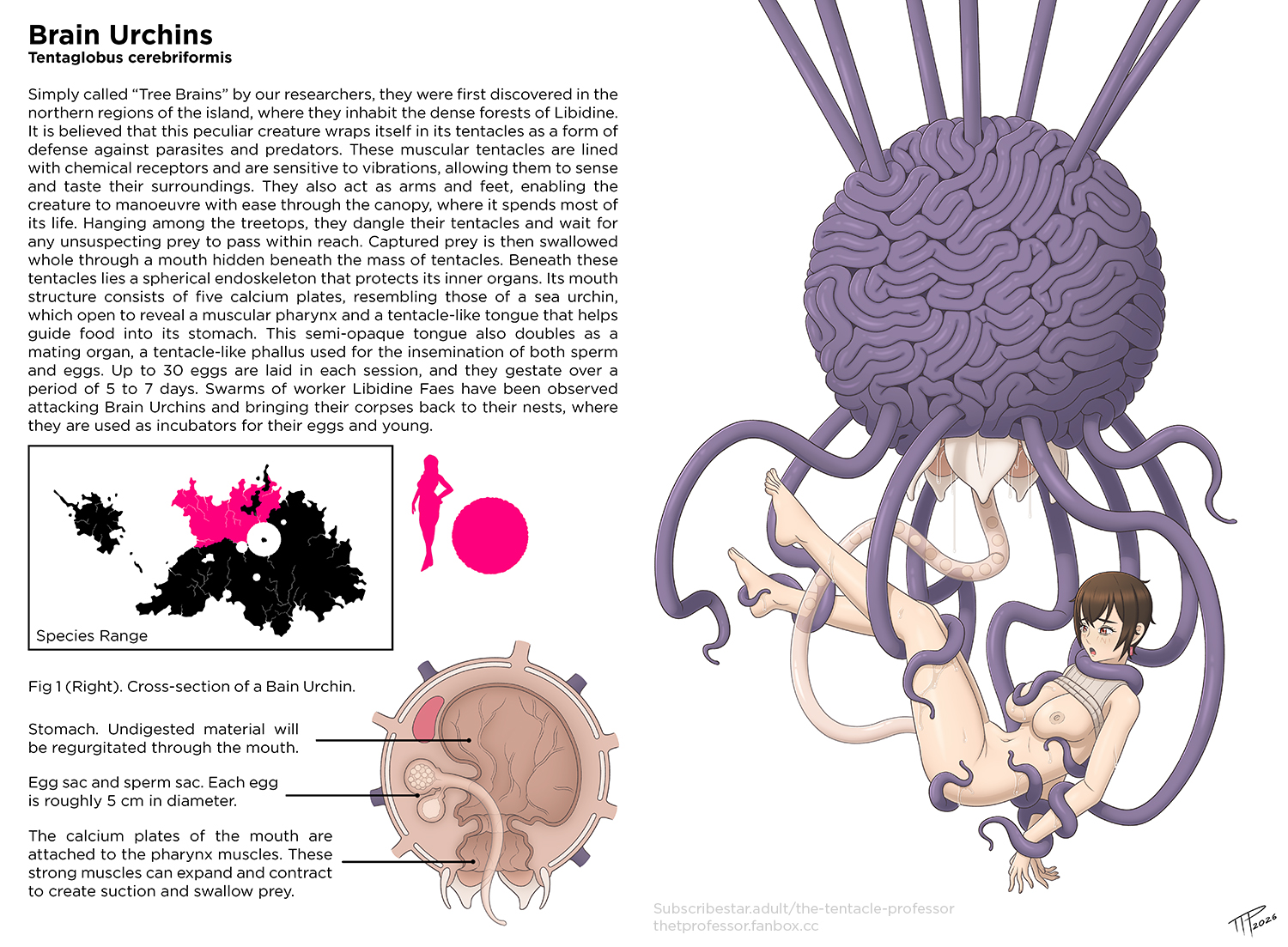 bondage, breasts out, egg, egg implantation, imminent death, lore, oviposition, professor alice (ttp), restrained, sci-fi, short hair, tentacle, tentacle sex, tentacles, the tentacle professor