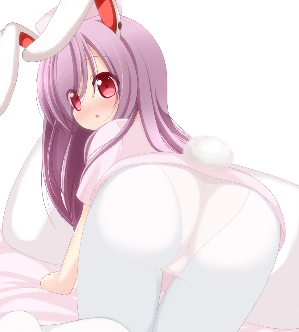 all_fours animal_ears ass blush bunny_ears bunny_tail chimunge cosplay from_behind hat lavender_hair long_hair looking_back nurse nurse_cap panties panties_under_pantyhose pantyhose pillow red_eyes reisen_udongein_inaba simple_background solo tail touhou trefoil underwear very_long_hair white_legwear white_panties