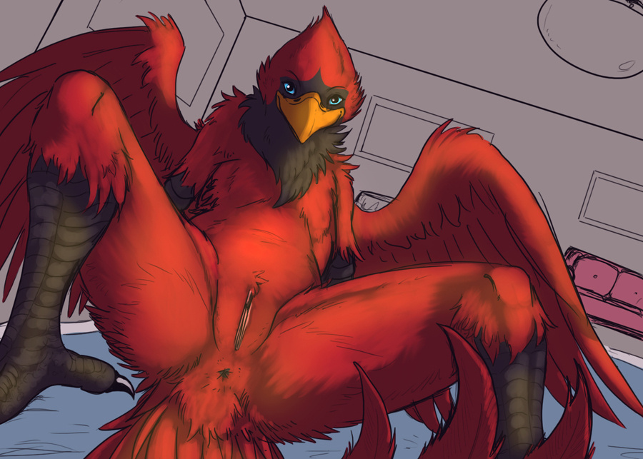 anthro anus avian bird blue_eyes break cardinal female inkbunny looking_at_viewer nude pinup pussy red_feathers solo syrinoth wings