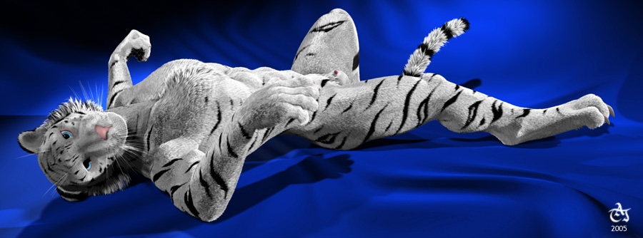 anthro bengal blue_eyes feline fur furry furry_only gay male on_back penis taj tiger