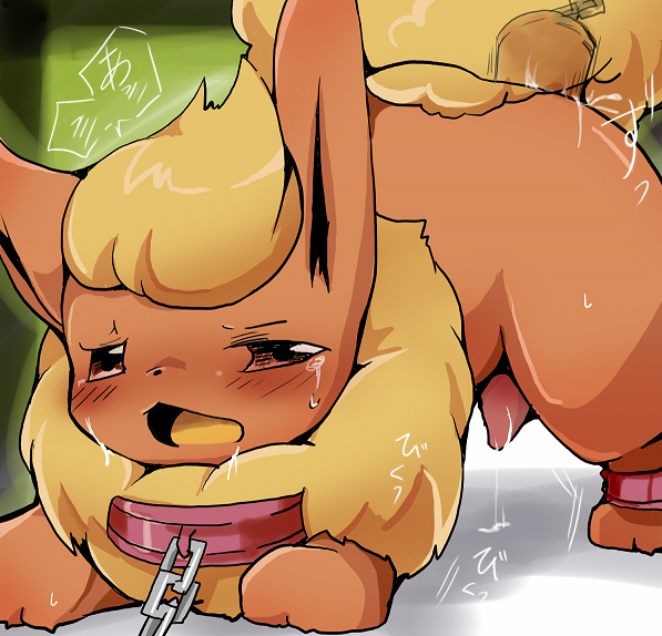 anal anal_insertion blush carrot collar eeveelution flareon insertion male male_flareon male_only nintendo open_mouth penetration penis pokemon pokemon_(species) realistic_animal red_eyes tear