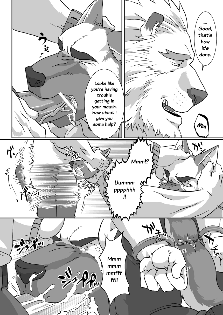 canine clothing comic dialogue english_text feline fellatio furry gay german_shepherd handcuffs lion male male/male male_only no_humans oral oral_sex penis police ron9 saliva sex shirt translated trousers uniform veins yaoi