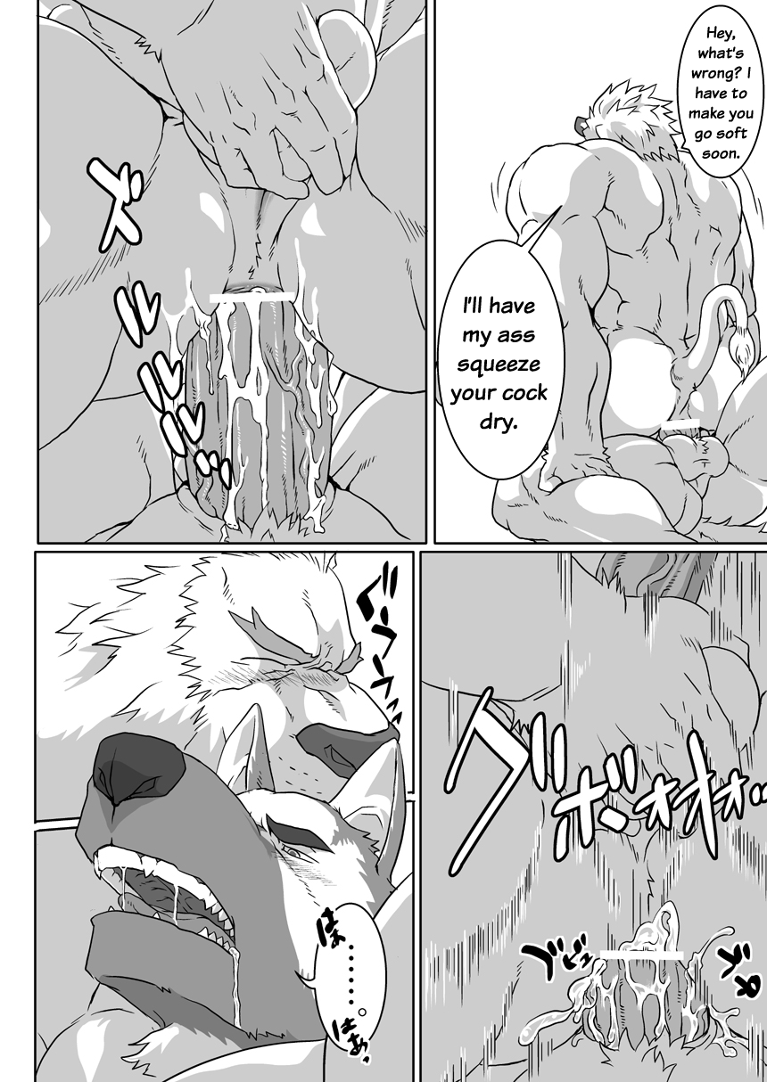 anal anal_sex anus balls canine censored comic dialogue feline furry gay german_shepherd lion male male/male male_only muscles no_humans penetration penis ron9 saliva translated veins yaoi