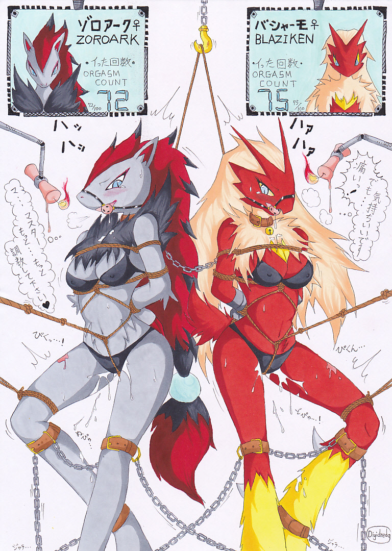 anthro blaziken bound candle clothes color digidredg female female_only fur furry interspecies multiple_females pokemon pokemon_(species) tagme zoroark