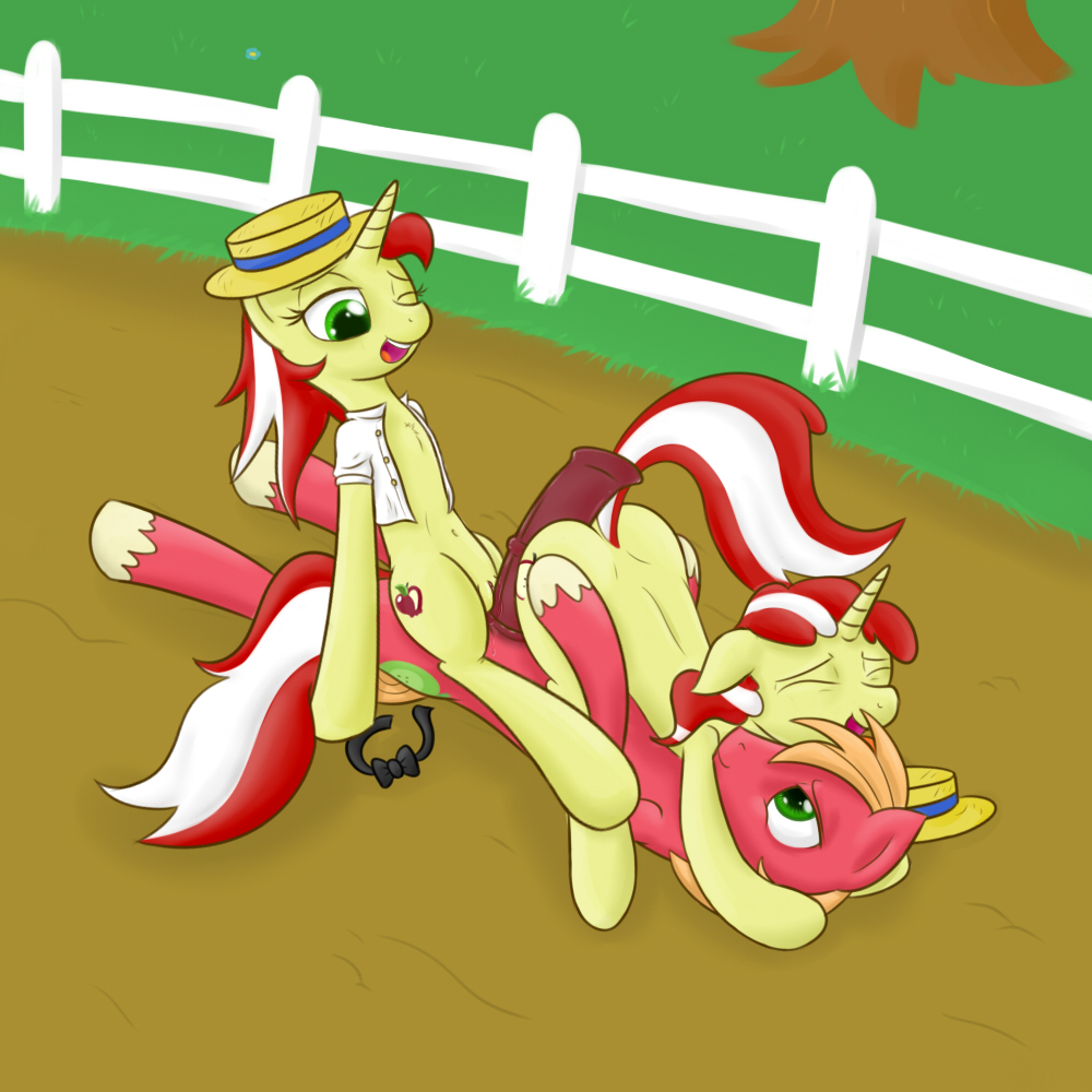 big_macintosh_(mlp) earth_pony equine female flam_(mlp) flim_(mlp) friendship_is_magic horse male my_little_pony pony rule_63 unicorn w300