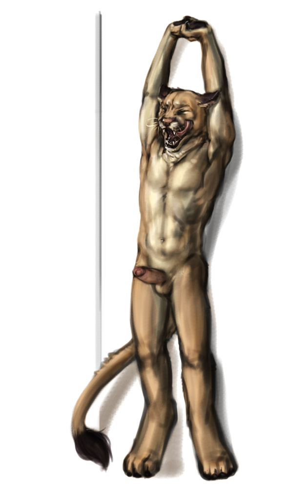 anakuro anthro balls closed_eyes cougar erection feline fur furry licking licking_lips male male_only morning_wood muscles nude open_mouth penis plain_background sketch solo stretching tongue tongue_out whiskers white_background yawn