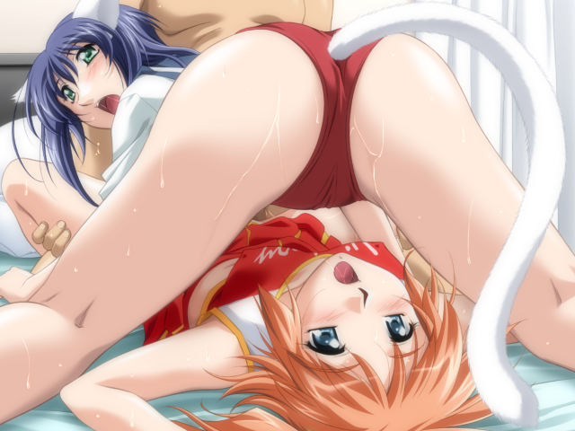 2girls animal_ears bed blue_eyes blue_hair cat_ears cheerleader cosplay female game_cg incest multiple_girls orange_hair sagara_emiru sagara_family sagara_ruruka sisters sweat tail yuri zyx