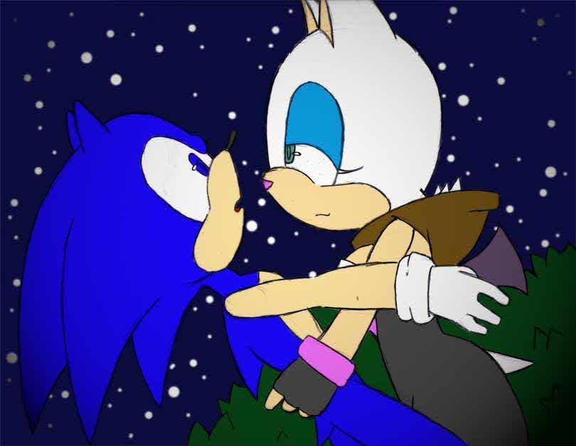 anthro bat clothes color female fur furry hedgehog interspecies male night nude outdoors rouge_the_bat sonic_(series) sonic_the_hedgehog tagme telsa