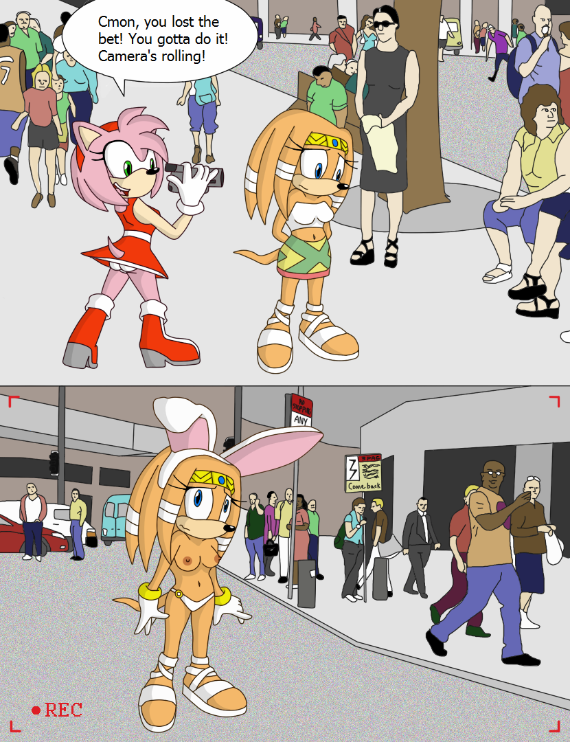 2girls 3pac amy_rose bunny_ears camera color echidna exhibitionism female fur furry hedgehog human interspecies lost_bet male multiple_females multiple_males onlookers passenger public public_exposure recording sonic_(series) tikal_the_echidna