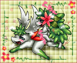 kurobedamu pokemon pokemon_(species) shaymin tagme