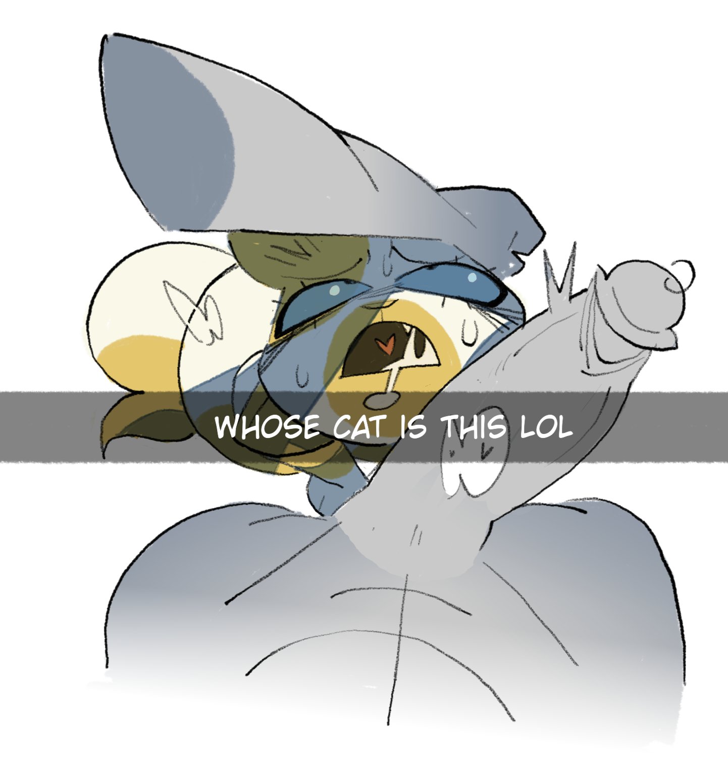 1boy, 1girls, adventure time, anthro, big penis, blue eyes, cake the cat, cat, cock on face, cock worship, cum, cum in mouth, fellatio, fionna and cake, male/female, oral, penis, real saming, snapchat, text