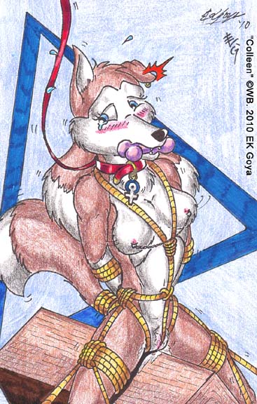 2010 anthro canine colleen dog ek_goya female female_only fur furry mammal road_rovers solo tagme