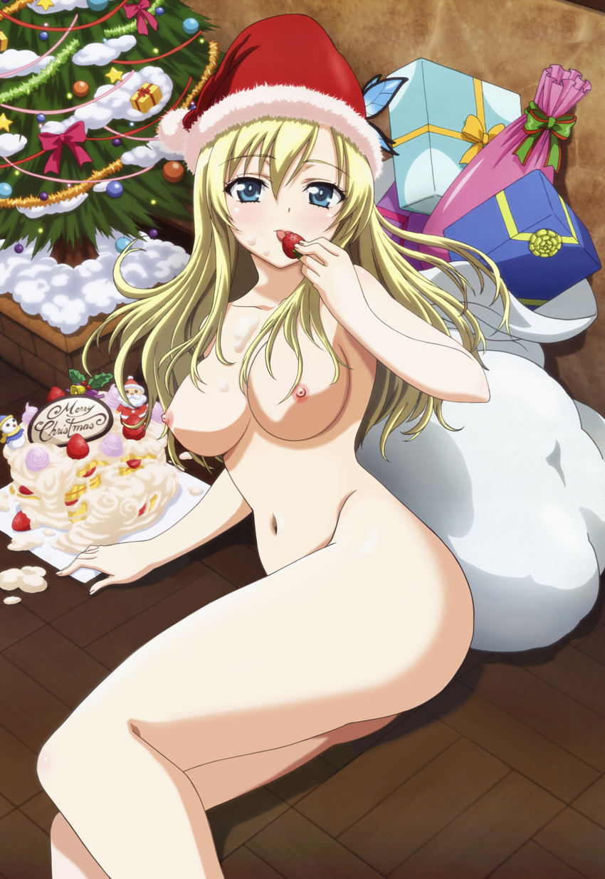 boku_wa_tomodachi_ga_sukunai christmas haganai pointy_chin sena_kashiwazaki tagme