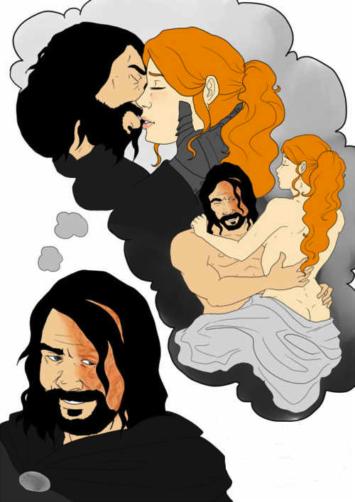 a_song_of_ice_and_fire literature male sandor_clegane sansa_stark tagme