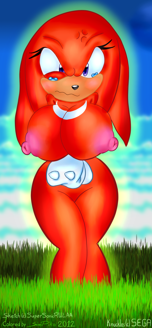 knuckles_the_echidna rule_63 simpiko sonic_(series) supersonicrulaa