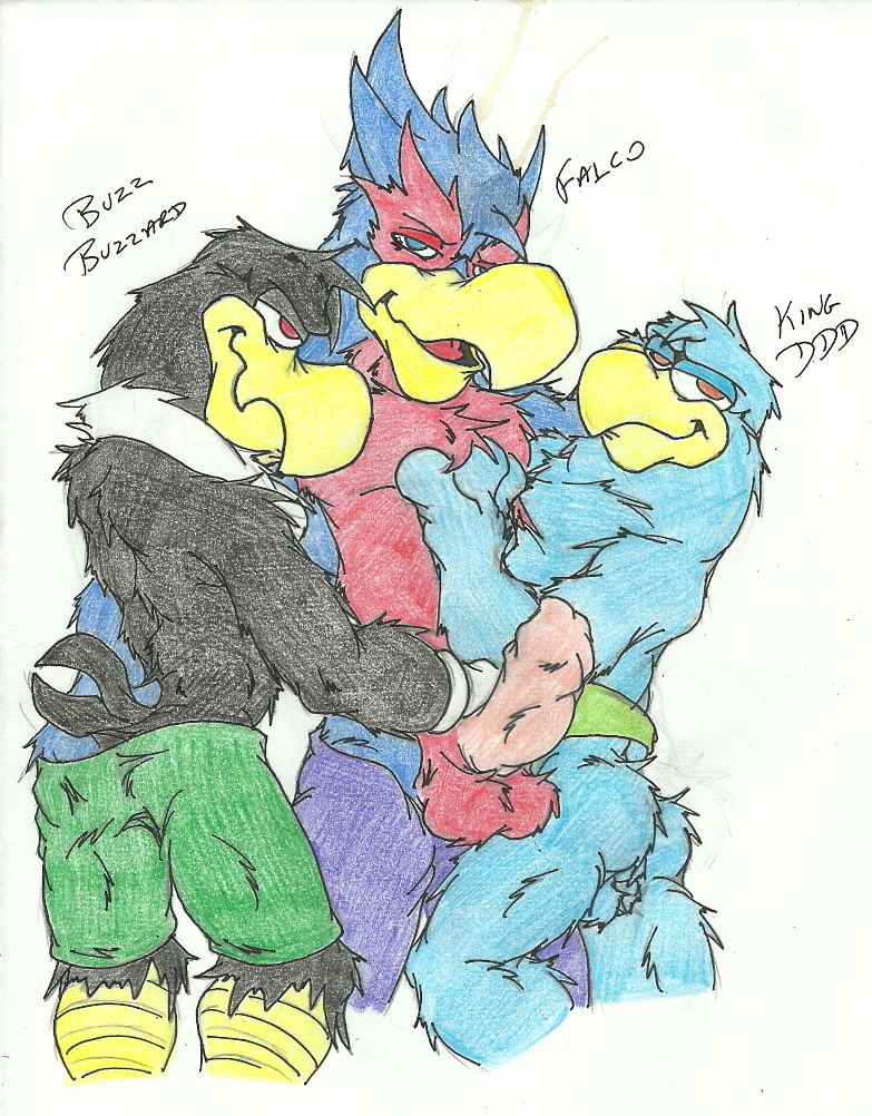 anthro avian balls buzz_buzzard buzzard character_name clothes color crossover falco_lombardi furry furry_only gay hopelesshighschool interspecies king_dedede kirby_(series) male male_only multiple_males no_humans penis pheasant star_fox the_woody_woodpecker_show topless white_background yaoi