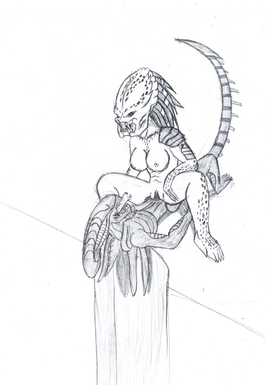 1boy 1girls absurd_res alien alien_(franchise) alien_vs_predator anthro black_and_white breasts claws cowgirl_position darkness789 duo fangs female female_on_top female_penetrated female_yautja feral feral_on_feral genitals girl_on_top greyscale hair hi_res humanoid humanoid_genitalia humanoid_pussy interspecies male male_penetrating male_penetrating_female male_xenomorph monochrome muscular muscular_female naked nipples non-mammal_breasts nude on_top open_mouth pencil_(artwork) penetration penis predator predator_(franchise) pussy sex sharp_teeth simple_background sketch spotted_skin straddling straight tail tongue tongue_out white_background xenomorph yautja