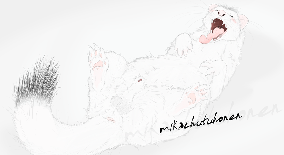 1boy anus balls blush feral hindpaw male male_only mikachu_tuhonen mustelid on_back paws penis solo stoat