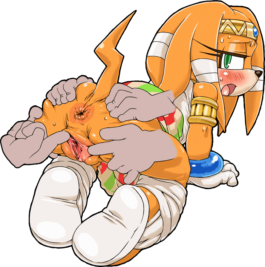 2d all_fours anthro anus ass ass_grab blush clothes color disembodied_hand echidna female fingering fur gif mobian mobian_(species) mobian_echidna nezumi orange_body orange_hair pussy sega solo_focus sonic_(series) sonic_adventure sonic_the_hedgehog_(series) straight_hair tagme tikal_the_echidna