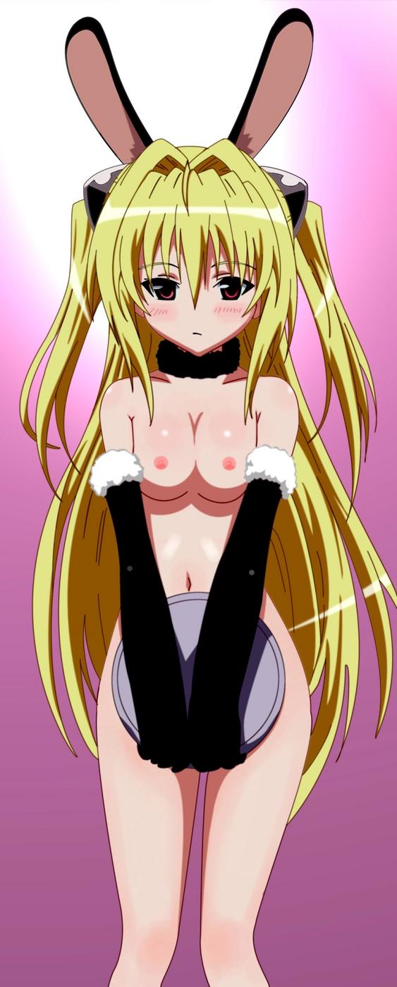 animal_ear artist_request blush breasts bunny_ear female gloves highres konjiki_no_yami pointy_chin small_breasts to_love-ru waitress