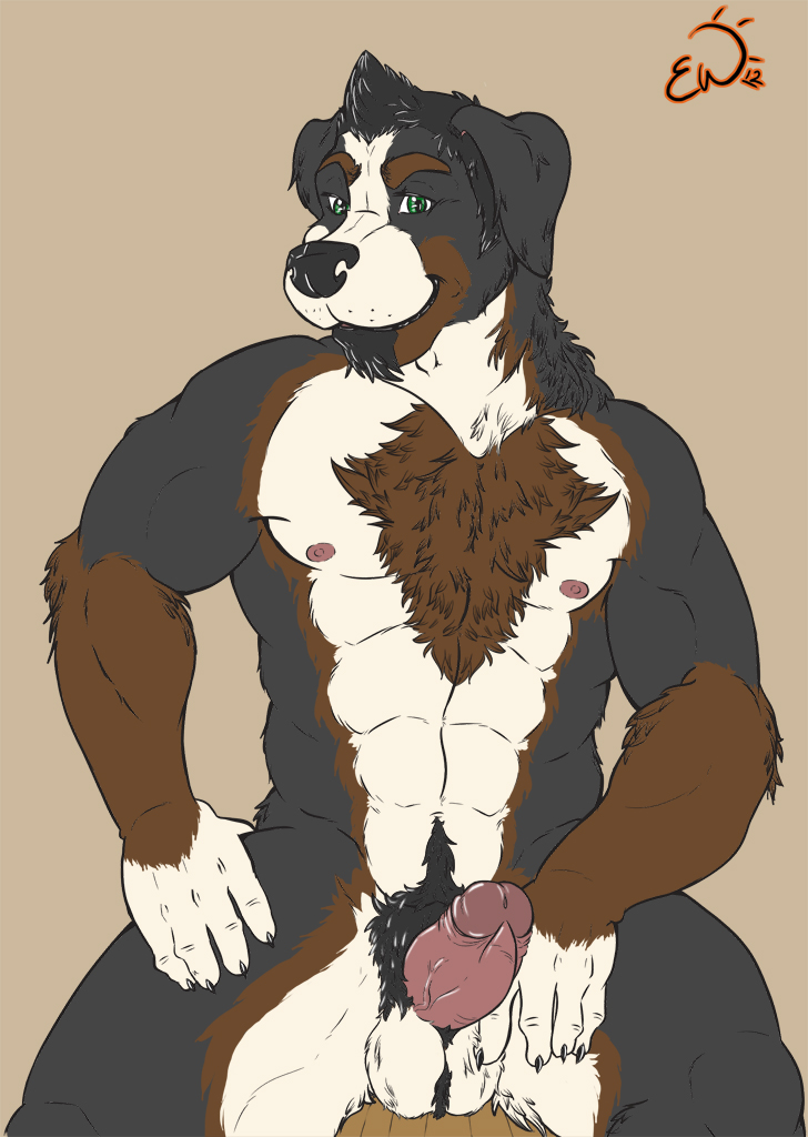 1boy abs anthro balls beard bernese biceps black_fur black_hair black_nose brown_fur canine chest_tuft claws erection exawolf fur furry green_eyes hair looking_at_viewer male male_only muscles nipples pecs penis solo