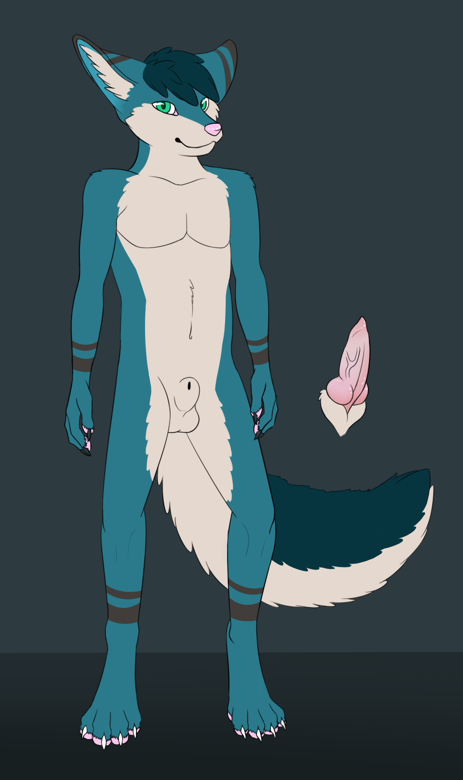 anthro canine casualfennec cobalt erection fennec fox fur furry male male_only penis sheath