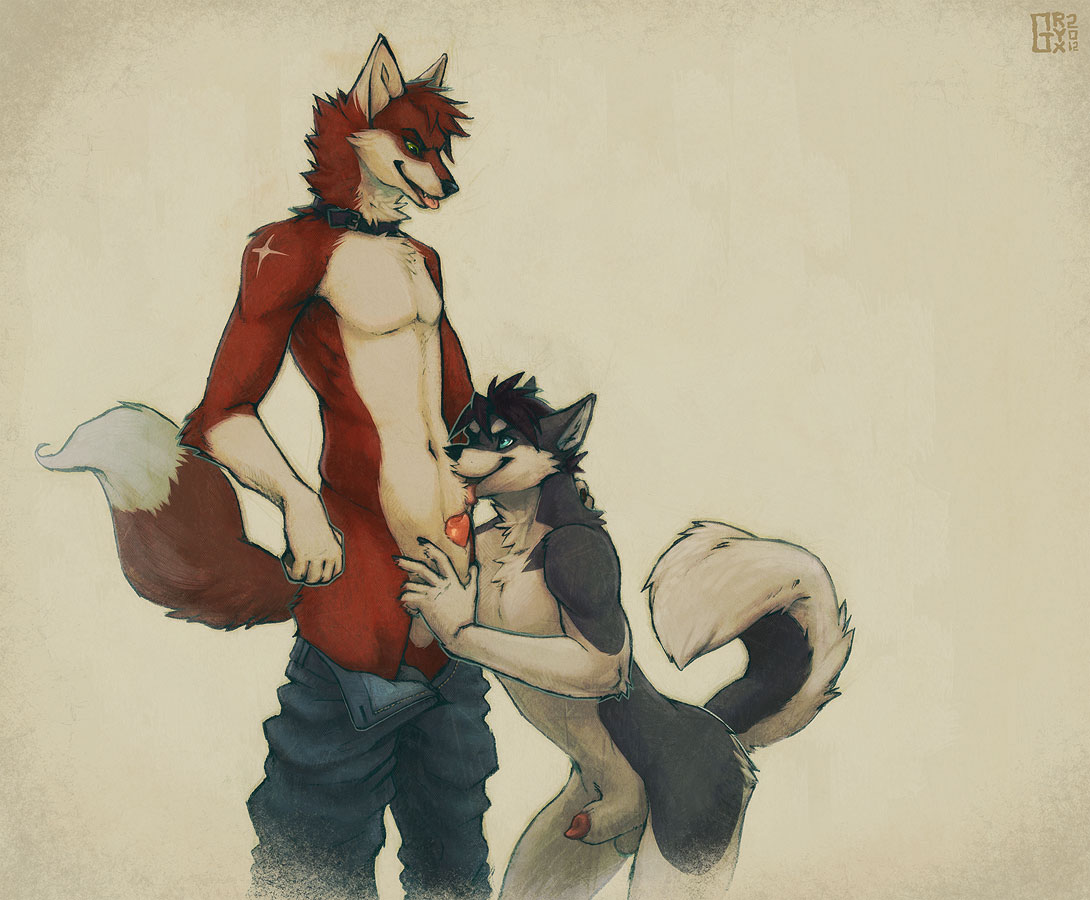 aroused blue_eyes canine canine_penis clothing collar erection foreplay fox furry gay gryx husky interspecies jeans licking male no_humans pants pants_down penis red_rocket sheath standing teasing tongue