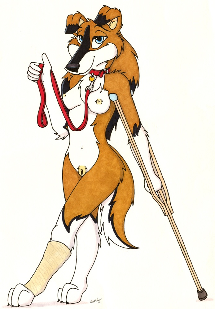 anthro bdever border_collie breasts broken_leg canine cast collar crutch canine female leash nipples pussy