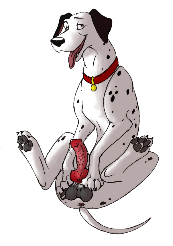 101_dalmatians 1boy animal_genitalia anus canine canine_penis collar disney erection feral furry furry_only knot kryaterre looking_at_viewer male male_focus male_only on_back penis pongo precum solo solo_focus solo_male testicles tongue_out