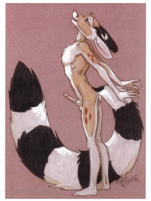 2002 anthro bassarisk chester_ringtail_magreer erection furry male male_only miner’s_cat nude penis pose ring-tailed_cat ringtail solo solo_male stretching terrie_smith