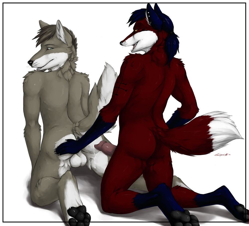 anthro anus ass back balls biceps black_nose blue_fur blue_hair canine canine_penis cum erection fox from_behind fur furry furry_only gay green_eyes grey_fur grey_hair hair kravn male muscles no_humans nude open_mouth pawpads penis ponytail red_eyes red_nose smile tattoo tied_hair truegrave9 white_fur wolf yellow_eyes