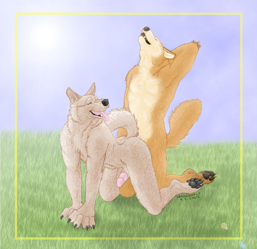 2boys anal anal_sex anthro canine doggy_style erection from_behind furry male male_on_male multiple_boys no_humans nude penetration penis sex trannywolf wolf yaoi