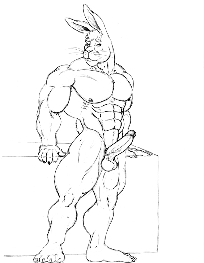 abs anthro balls biceps big_penis fur furry lagomorph looking_at_viewer male male_only muscles pecs penis pose rabbit solo sudonym