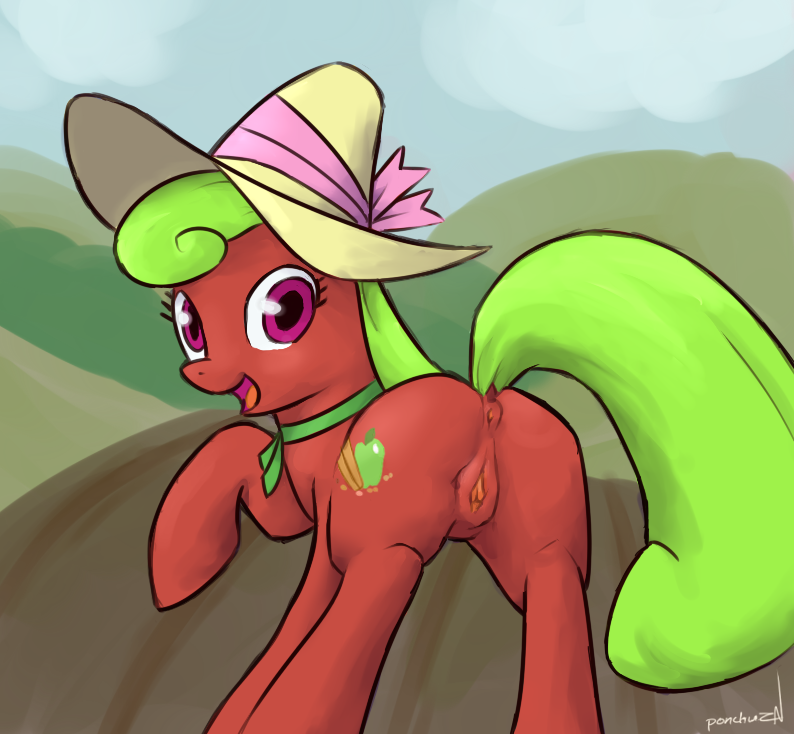 apple_bottom friendship_is_magic my_little_pony ponchuzn tagme