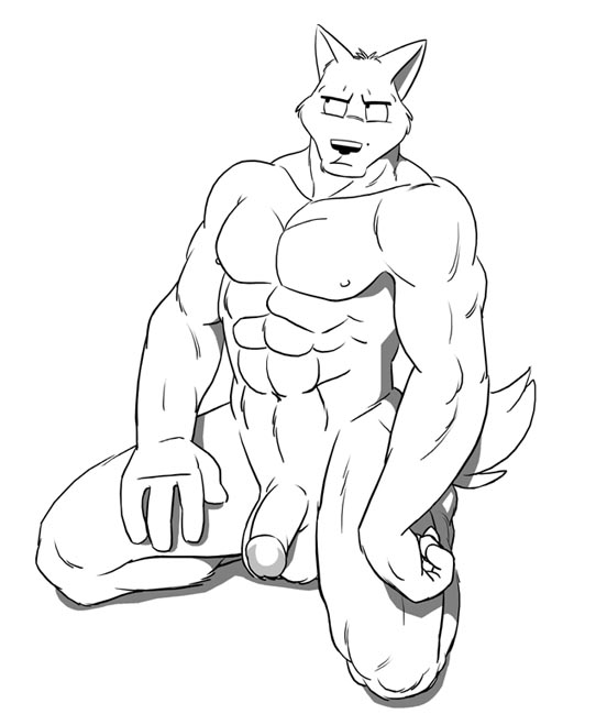 1boy anthro balls canine confused flaccid fur furry kneeling male male_only muscles nipples nude penis poop_(artist) solo wolf