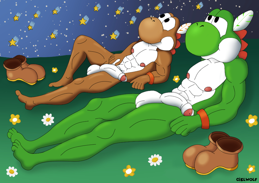 anthro balls brown_body brown_yoshi ciel-wolf clothing duo feathers flower footwear genitals grass green_body green_yoshi male male/male mario_(series) muscular muscular_anthro muscular_male night nintendo nipples paper_mario penis plant shoes star white_penis yoshi yoshi_chief