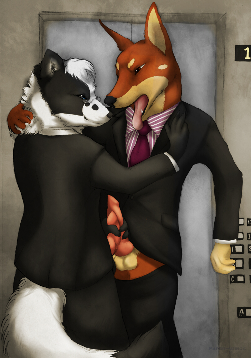 2boys anthro border_collie business canine doberman elevator fox frottage fur furry furry_only gay male male_only mm no_humans paper-wings suit suits tagme yaoi