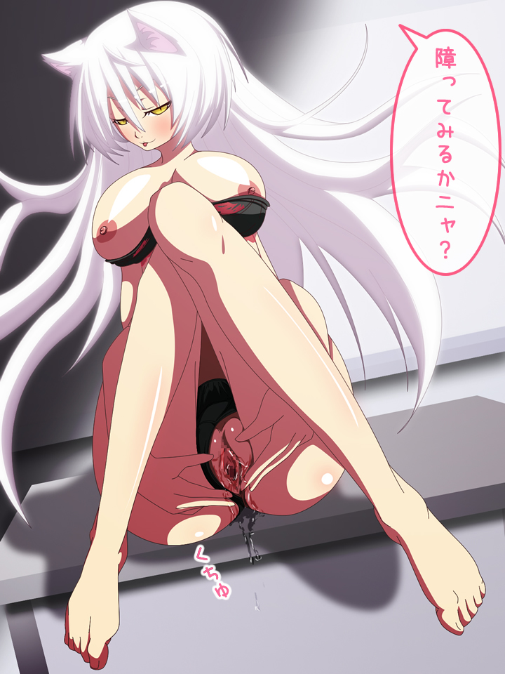 animal_ears black_hanekawa blush bra breasts cat_ears censored female hanekawa_tsubasa long_hair looking_at_viewer monogatari_(series) morokoshitaroh nekomonogatari nipples panties pointless_censoring pussy pussy_juice solo text translation_request underwear underwear_only white_hair yellow_eyes