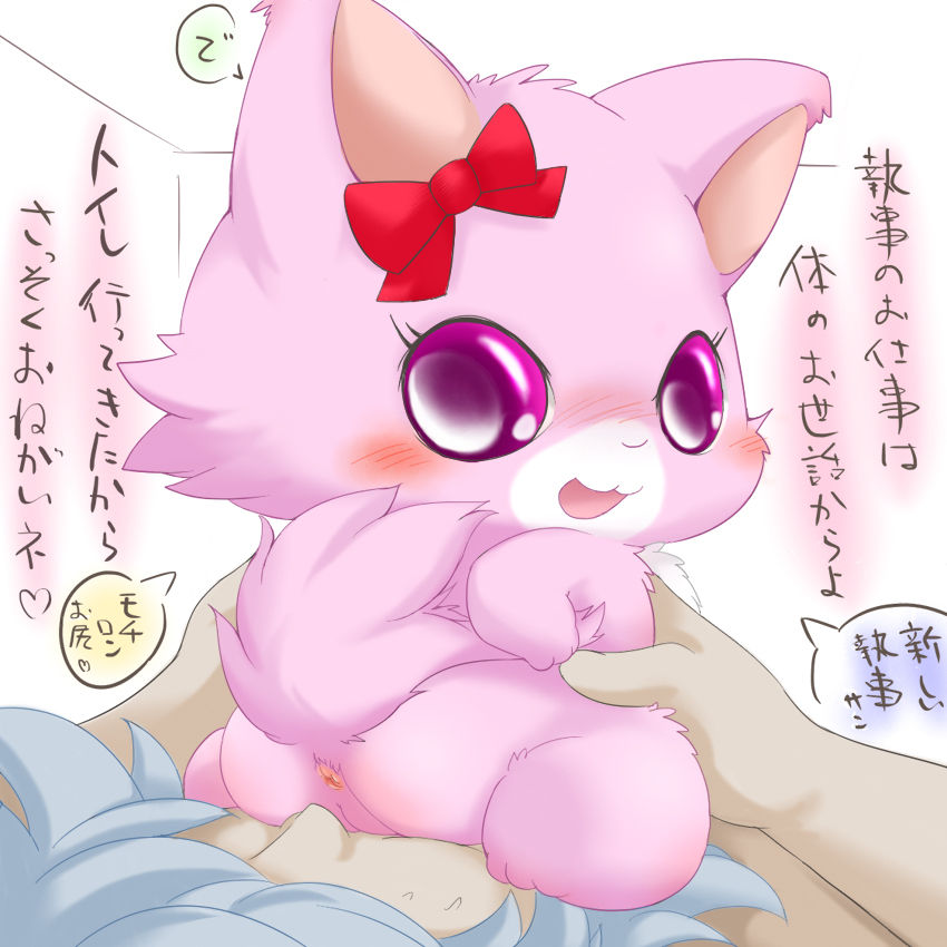 1boy 1girls anus big_eyes blush cute duo facesitting feline female feral fluffy garnet_(jewelpet) hands human interspecies japanese_text jewelpet jewelpet_(species) male pink_eyes pussy ribbons sex size_difference text white_background zoophilia